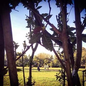 Agriturismo Beethoven Noci Exterior photo